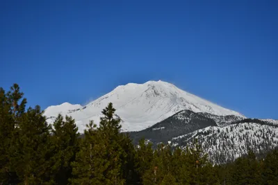 DSC_5901 (Large).JPG